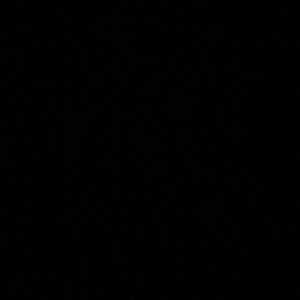 Meet your Posher, Joy